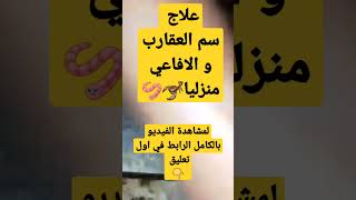 #علاج سم العقارب والافاعي منزليا