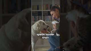 How to Say Sorry to Your Dog#dog #dogs #shorts #dogvideos