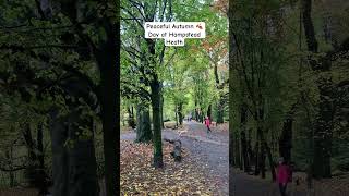 Tranquil London Naturescape: 10 Secs of Hampstead Heath's Serenity! 🌳 #PeacefulEscape