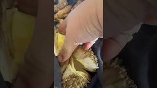 Fresh Durian Fruit #shortvideo #shorts #fruit