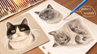 Drawing my Cats ✏️Colored Pencils Triggers ASMR and soft music