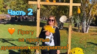 Люблю Прагу за простые душевные очень частые городские мероприятия!🧡