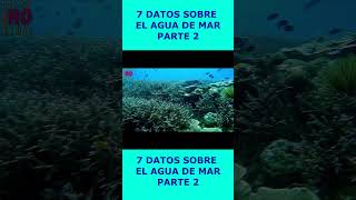 #SHORT 7 DATOS SOBRE EL AGUA DE MAR