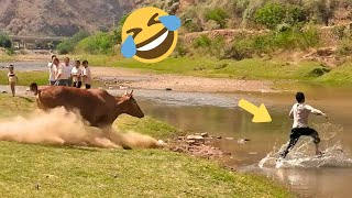 TRY NOT TO LAUGH 🤣🤣 Best Funny Videos compilation - Fail Of Videos 😂 P19