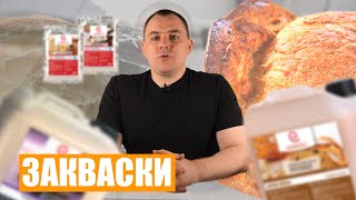 ЗАКВАСКИ. КАКИЕ ВАРИАНТЫ БЫВАЮТ. ЧИСТЫЕ КУЛЬТУРЫ МОЛОЧНОКИСЛЫХ БАКТЕРИЙ.