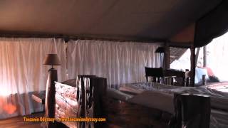 Jongomero, safaris and honeymoons, video of Jongomero in Ruaha with Africa Odyssey