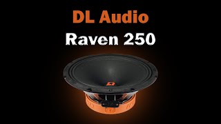 Обзор и прослушка DL Audio Raven 250 | Панч-машина с мощнейшей магнитной системой