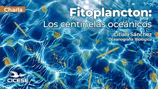 Charla "Fitoplancton: Los centinelas oceánicos"