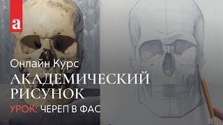 РИСУНОК ЧЕРЕПА В ФАС | Академический рисунок | Денис Чернов