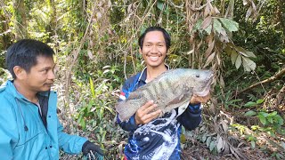 Spot Di hutan Belantara PAPUA nancing Alam liar Nila Babon 3,8 kg. #relixnusantara #mancingmania