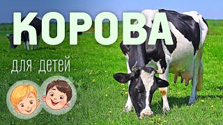 Корова. Видео про животных для детей 3+