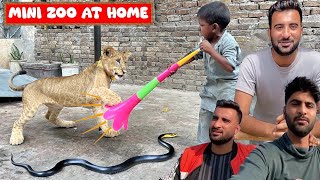 mini zoo at home || Pet Vlogging in Hindi