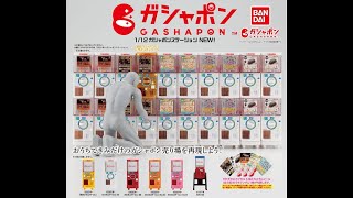 Gacha Unboxing 0035 [1/12 GASHAPON STATION NEW!] Capsule Toy: Discover the Surprise Inside!