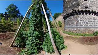 Andernach  360° Video complete