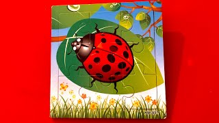 LADYBUG Animal Puzzle build by a 3 year old