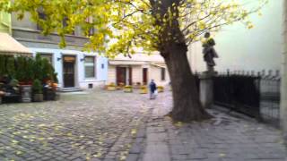 "Central Lviv"