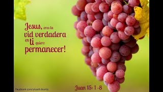 LECTIO DIVINA DOMINGO 5º DE PASCUA 2024