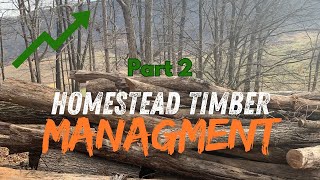 Timber Management Part 2