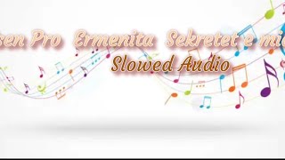 Elsen Pro  Ermenita  Sekretet e mia Slowed Audio