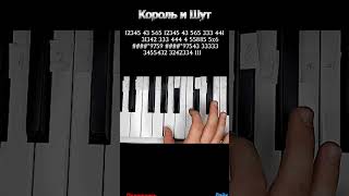 Прыгну со скалы Король и шут на пианино 🎹 Обучение #shortsvideo #shortvideo #shorts #tiger_egor