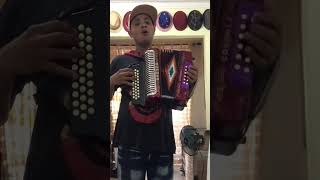 El Colorao típico Toquen El Acordeón Completo #parati #viral #acordeon #tipicord