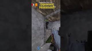 Раст - Спрятался маленький #shorts #short #shortsvideo #rust #games #gaming #раст