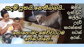 මල්ලිට උදව්කරන නෙකීබබා..අනේ එයාලගෙ ආදරේ..