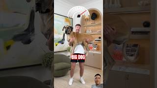 Mr Beast Hugs The Giant Dog #shortvideo #viralvideo #funny #challenge #funniestvideo #cute #mrbeast