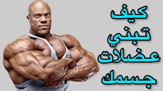 كيف تبني عضلات جسمك 💪