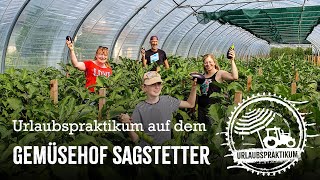 Urlaubspraktikum auf dem Sagstetter Gemüsehof