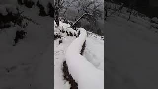 Snowfall in Uttarakhand