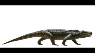 Parasuchus Hislopi Sounds (Crocodile) J.P