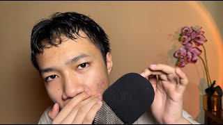 [ASMR] mic + mouth = tingles