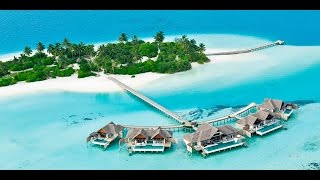 NIYAMA Luxury Resort by Per AQUUM l Maldives Luxury Resorts and Hotels