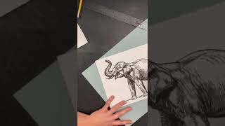 Drawing an Elephant