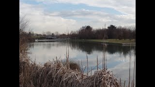 LAGO DI NIGUARDA (PARCO NORD MILANO)