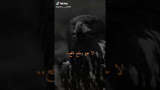 حالات واتس نسر