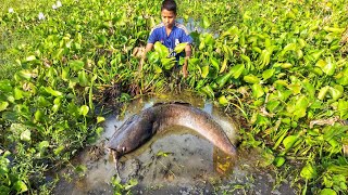 Village Hand Fishing Trap. Amazing Fishing Video 2024