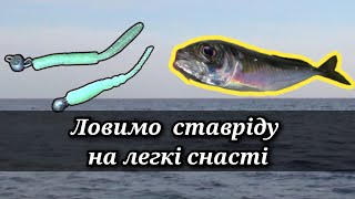 Ловимо СТАВРІДУ на ультралайт.Чорне море 2024.