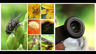 SKYVIK SIGNI One 25mm Macro Lens - video and photo samples