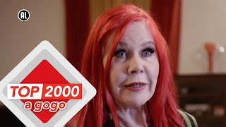 The B-52s | Het ontstaan van de band | Top 2000 a gogo