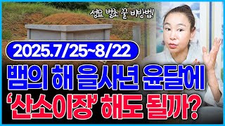 2025년 뱀의해 을사년에 '산소이장'을 비추천하는 절대적인 이유가 있다?!! 추석 성묘 벌초 비방법