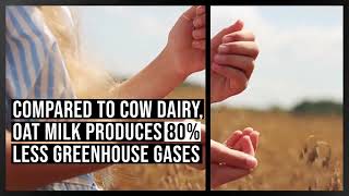 Dairy farming is unethical and unsustainable - Animal Justice Project