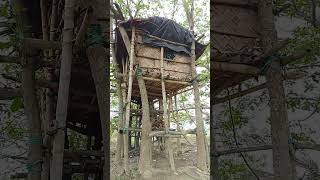 village tree house #shots #nature #viral