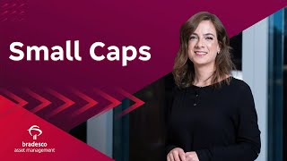 Diferença entre Large Caps, Small Caps e Mid Caps