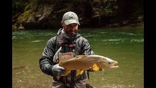 Fly Fishing NZ - Opening day Scott G Series rod test.