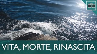 VITA, MORTE, RINASCITA