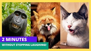 2 minutes without stopping laughing! with this animals!!!😂😂😂