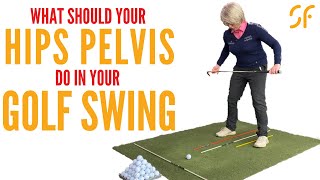 What should your HIPS PELVIS do in your GOLF SWING