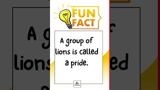 Fun Fact Friday!!!  #elementaryeducation #educationcenter #homeeducator #education